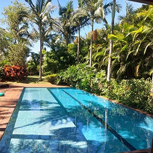 piscina coberta com rede de proteção, com palmeiras ao fundo